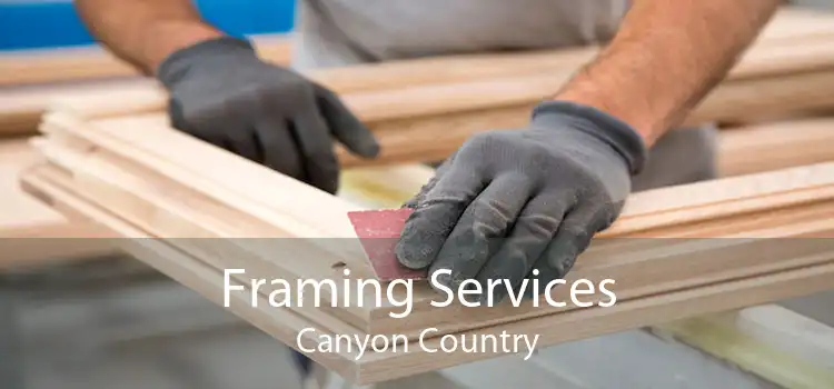 Framing Services Canyon Country